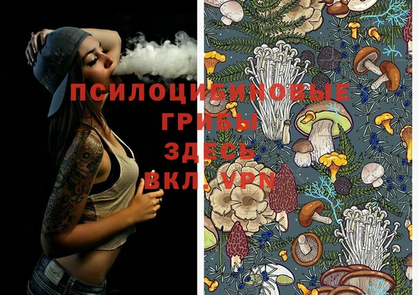 ешки Алексеевка