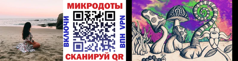 darknet какой сайт  Арамиль  Псилоцибиновые грибы Psilocybe 